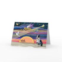 Christmas Star - Australian Cattle Dog Card