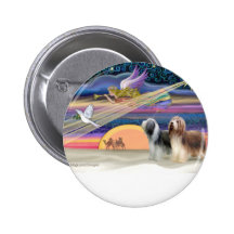 Christmas Star - Bearded Collies (two) Pinback Button
