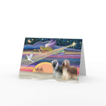 Christmas Star - Bearded Collies (two) Cards