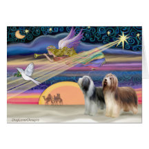 Christmas Star - Bearded Collies (two) Cards