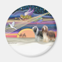 Christmas Star - Bearded Collies (two) Fridge Magnets