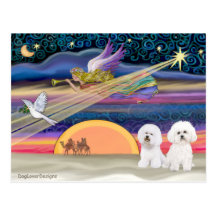 Christmas Star - Bichon Frise (two) Postcard