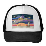 Christmas Star - Boxer (1cr) Hats