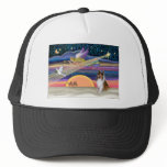 Christmas Star - Collie #2 (sable) hats