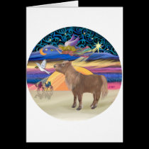 Christmas Star- Shetland Pony cards