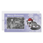 Christmas Sugar Glider photo cards