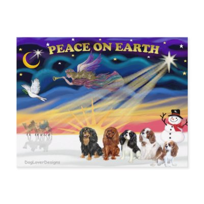 Christmas Sunrise - Cavalier Kings Charles (five) Post Card