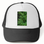 christmas tree branches hats