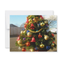 Christmas Tree Announcement