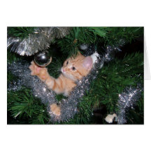 Christmas tree kitten - Customised Greeting Card