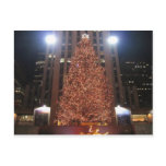 Christmas Tree Rockefeller Centre