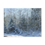 Christmas Tree-Snow Covered Postcards
