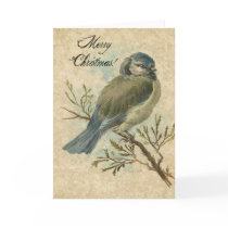 Christmas, Vintage Bluetit Cards
