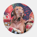 Christmas - Vizsla - Budda Refrigerator Magnets