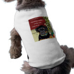 Christmas Wishes pet clothing pet clothing