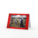 Christmas Xmas MARY AND JOSEPH IN BARN VIRGIN MARY cards