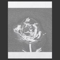 Chrome Rose Custom Flyer