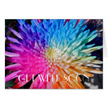 Chrysanthemum Flower Get Well Soon Card