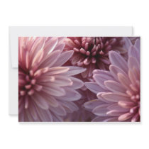 Chrysanthemum Flowering Invitation