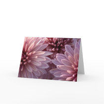 Chrysanthemum Greeting Card