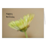 Chrysanthemum HappyBirthday Card