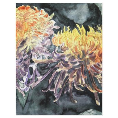 Chrysanthemum mum flowers watercolor painting full colour flyer by dereklovessheila