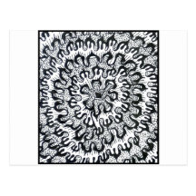 Chrysanthemum Postcards