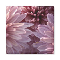 Chrysanthemum Square Magnet