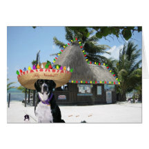 Chrysie's Mexican Christmas Card