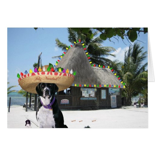 Chrysie's Mexican Christmas Card