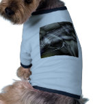 Chthonic Premonition pet clothing