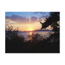 Chuckanut Drive Postcard