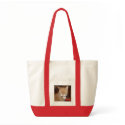 Chuffchuff Red - Mew Bag