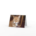 Chuffchuff Thank You - Mew Card