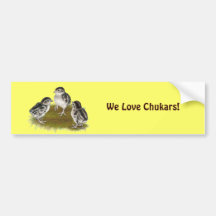 Chukar Partridge Chicks Bumper Stickers