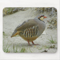 Chukar Partridge Mouse Pads