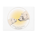 Churchill Canada Postcard Polar Bear Art Cards