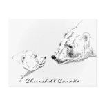 Churchill Canada Postcard Polar Bear Art Cards