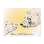 Churchill Canada Postcard Polar Bear Art Cards