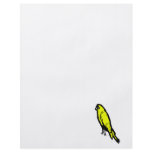 Churla Canary flyers