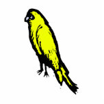 Churla Canary photo sculptures
