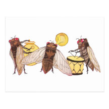 Cicada Band with Gong, Trumpet and Drum Post Card
