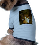 Cicada Claws pet clothing