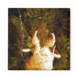 Cicada Claws magnets
