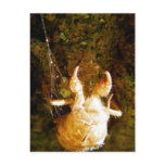 Cicada Claws postcards