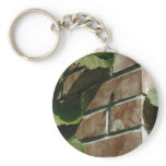 Cicada on wall keychains