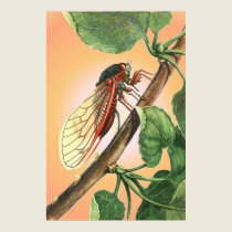 Cicada posters