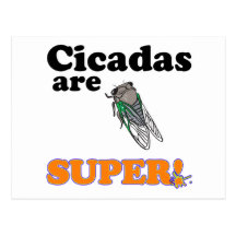 cicadas are super post cards