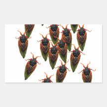 cicadas rectangular stickers