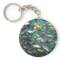 Cichlids, cichlids, and more cichlids! Fish fish! Keychain